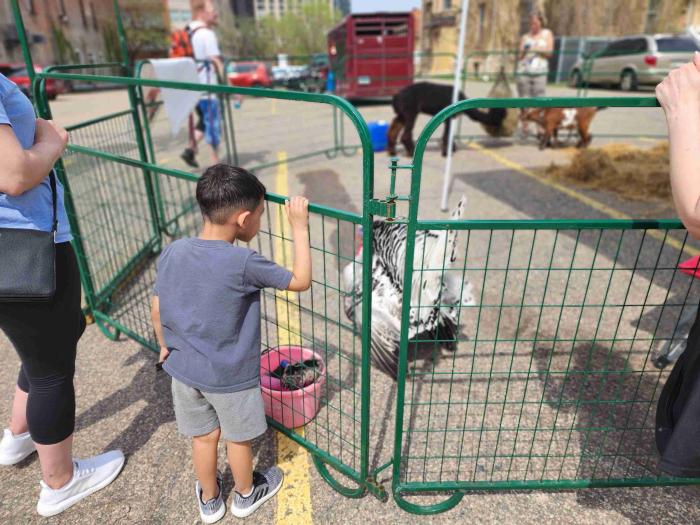 Young child and parents enjoy the petting zoo with RS EDEN.